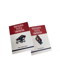 Pin "Escalera del Claustro" - Caballero