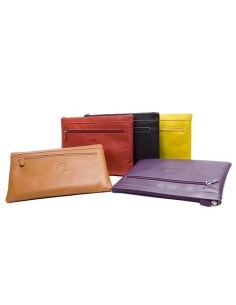 Cartera portafolio