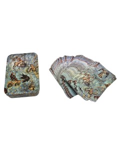 BARAJA CIELO DE SALAMANCA CON CAJA METAL