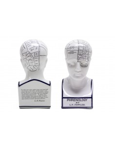 Cabeza frenológica