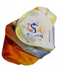 Pañuelo VIII Centenario 2